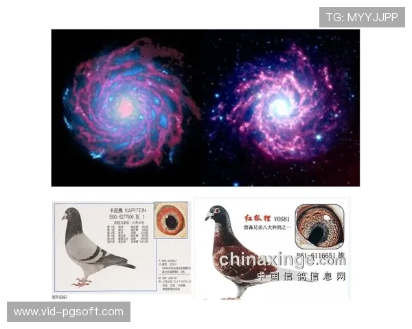 “水星与自由人系列赛进入第三场,胜负将决定晋级归属” “水星与自由人系列赛进入第三场,胜负将决定晋级归属”
